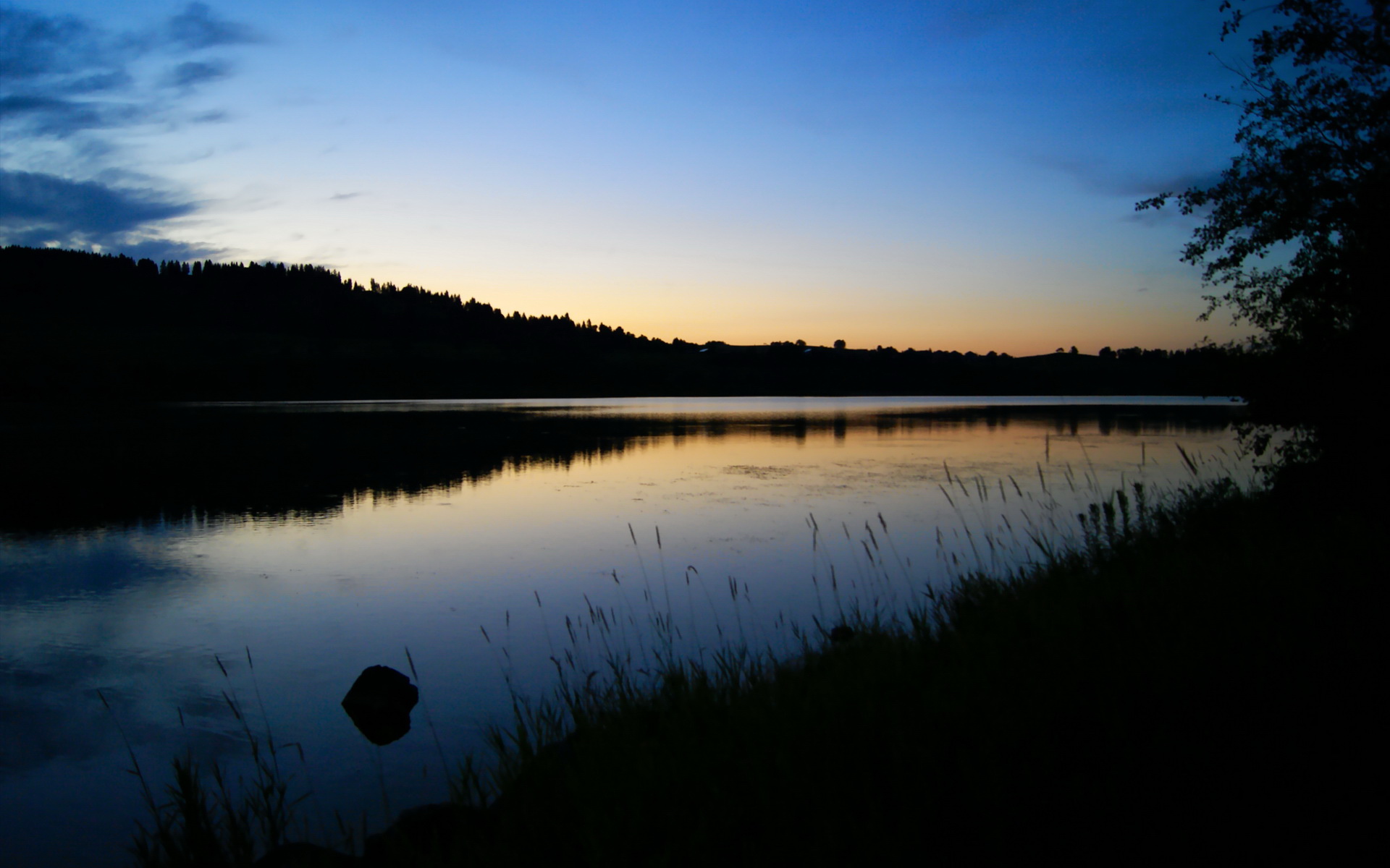 青少年体育社交行为与心理健康关联研究,体育运动对青少年心理健康的影响