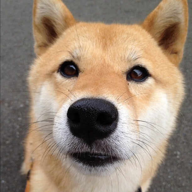 “金牛区城北体育馆:运动舞蹈赛,舞者们用汗水编织精彩的节奏”