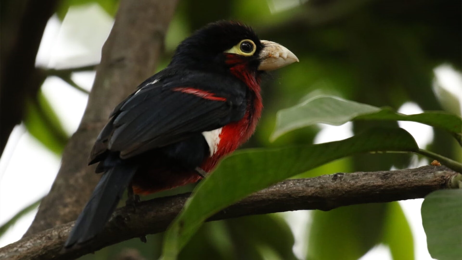 亚洲杯中国足球战败 球迷反思青训体系,足球亚洲杯中国队赛程表