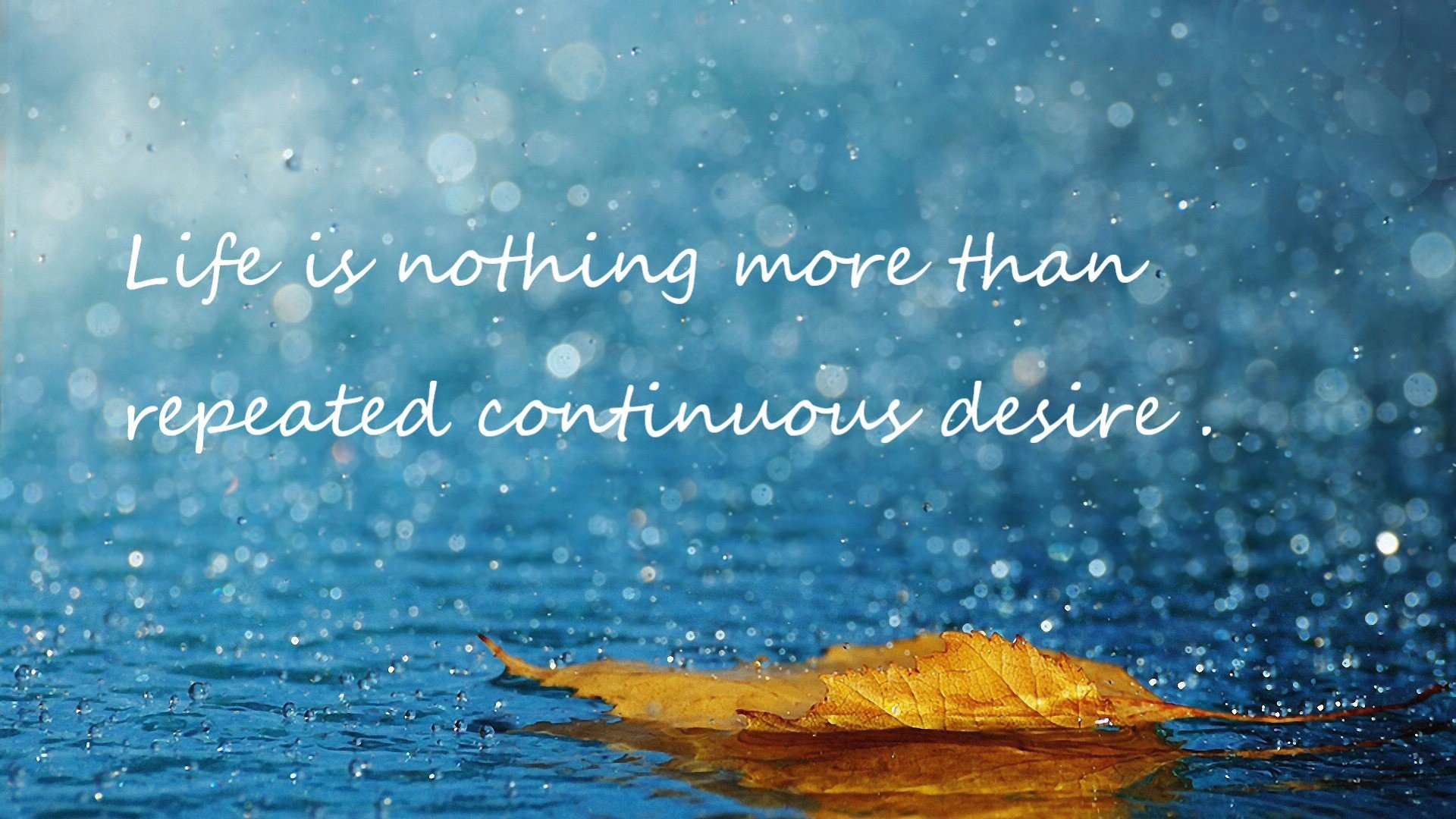 体操世界杯中国队喜迎开门红,艺术体操世界杯中国