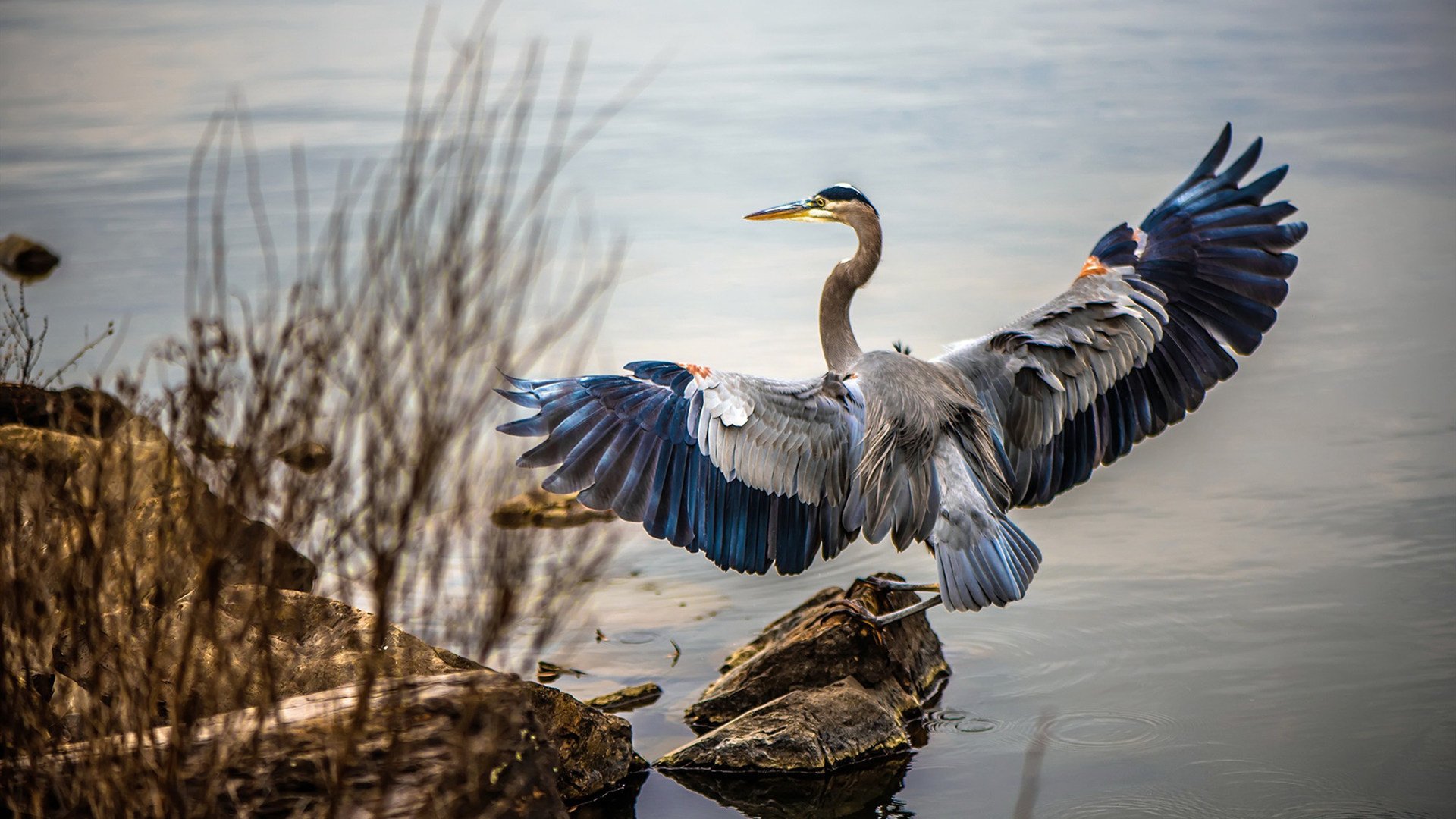 体育新闻中心构建体育赛事多语言传播平台,体育赛事的新闻报道