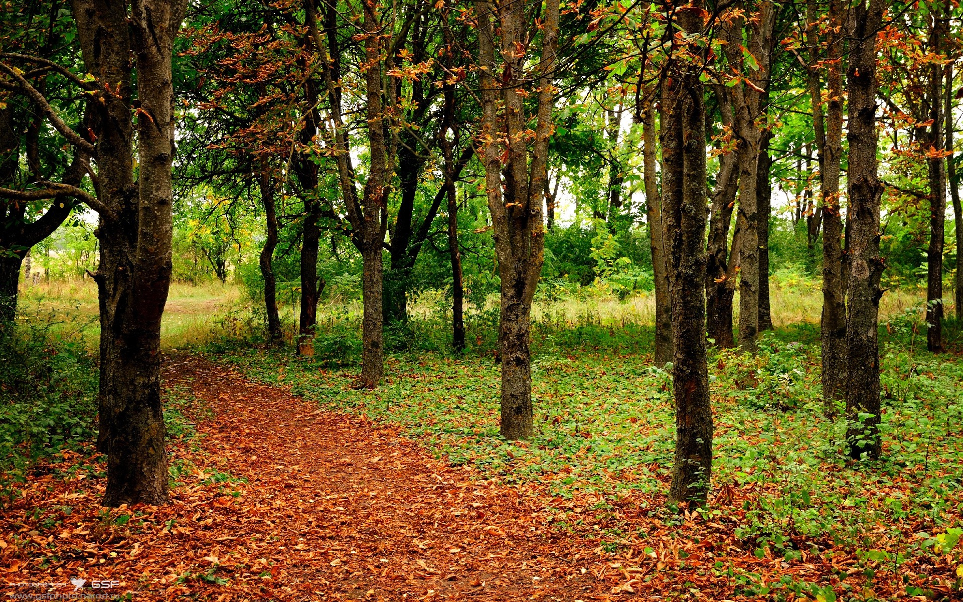 曼城热力压制尤文,全场占据主导主动权,曼城大热
