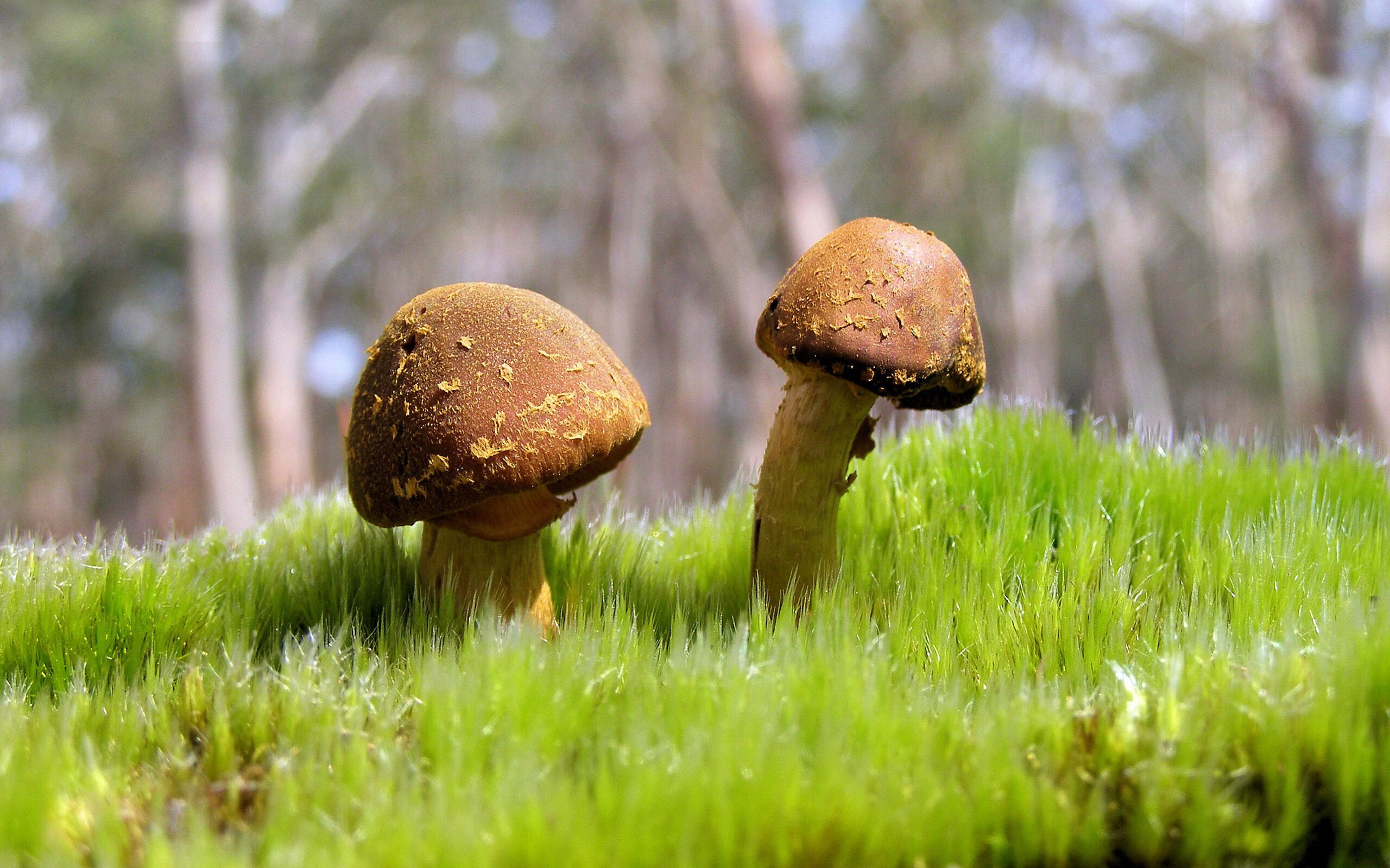 西班牙男子队整体体能储备充足,西班牙男子国家队