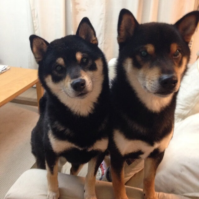 “胡利安·门德斯:全能球员的崛起,助力阿根廷美洲狮队未来走向巅峰”