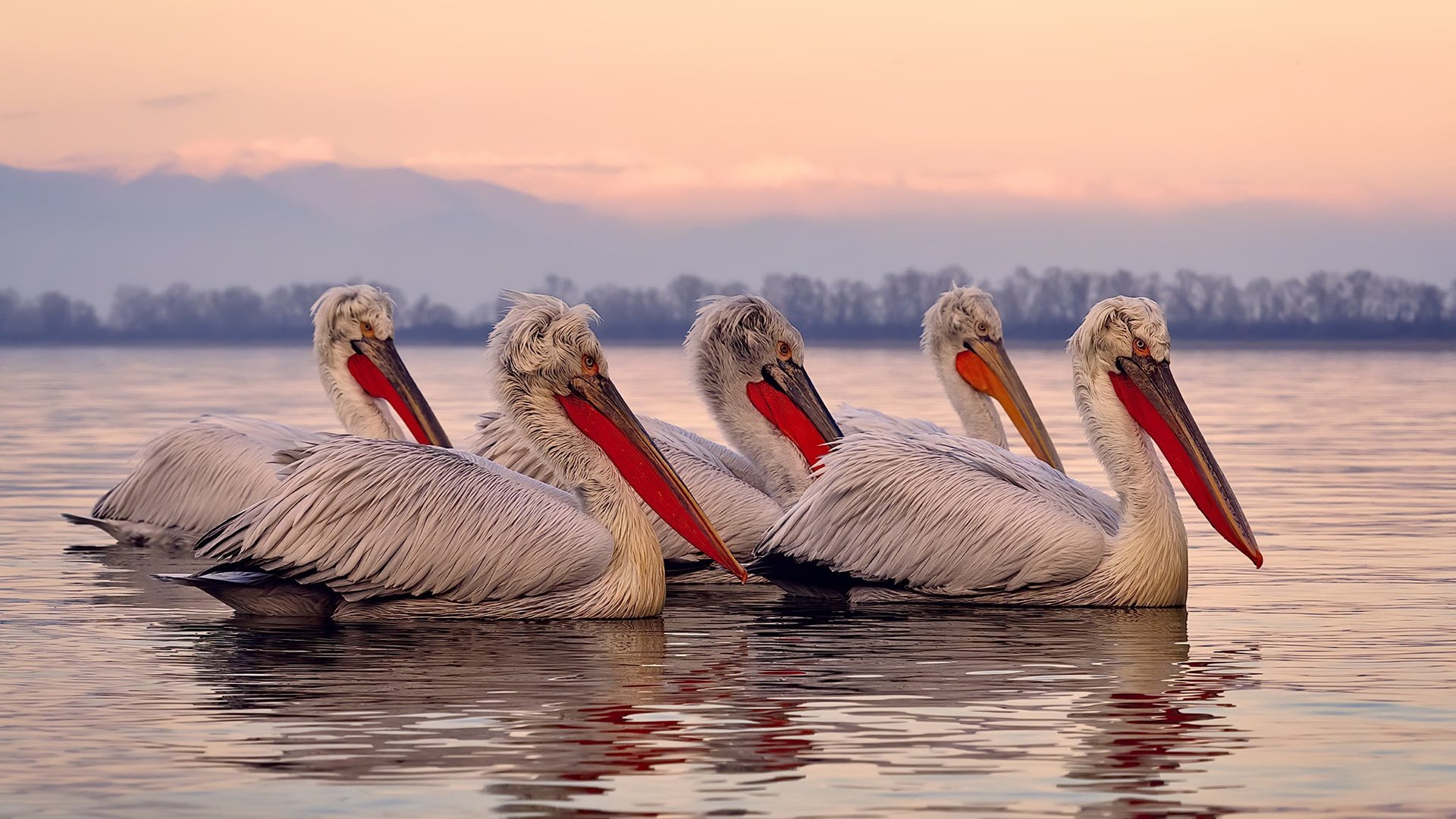 开云ky官网-中国足球青训机构建立家长教育培训体系，中国足球青训补偿及培训费