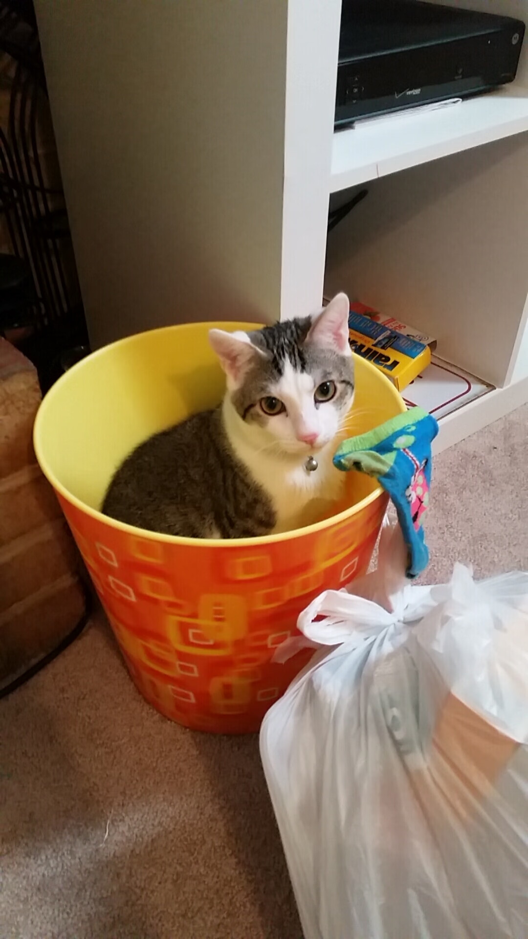 曹缘3米跳板决赛完美发挥摘金,曹缘十米跳台