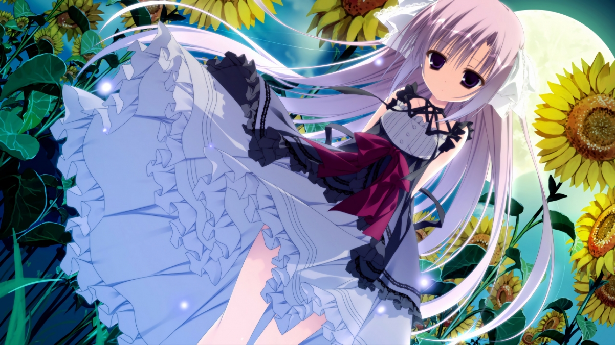 法国橄榄球赛事吸引更多的国际投资,成为全球焦点,法国橄榄球大片