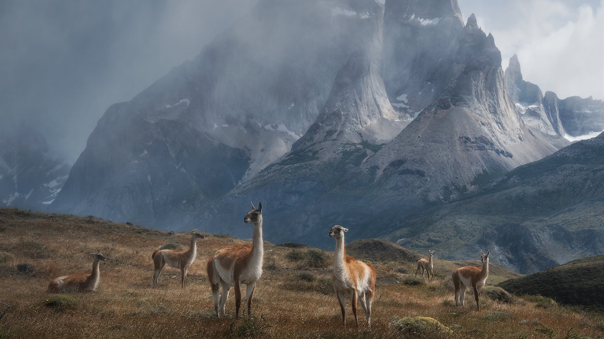 开云体育网址-篮网球员发布训练视频引发网友模仿热潮，篮网队训练