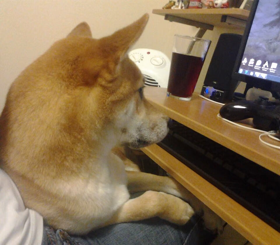 跳水高台项目比利时完成高难动作，跳水比赛最高的跳台