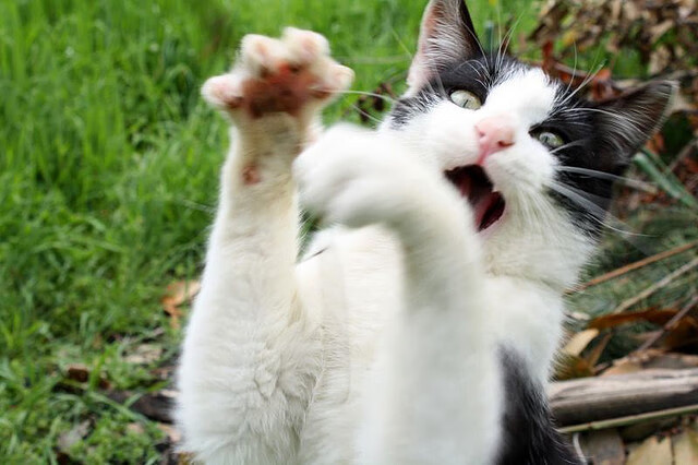 霍勒迪谈防守轮转中沟通起到决定作用，霍勒迪防守教学